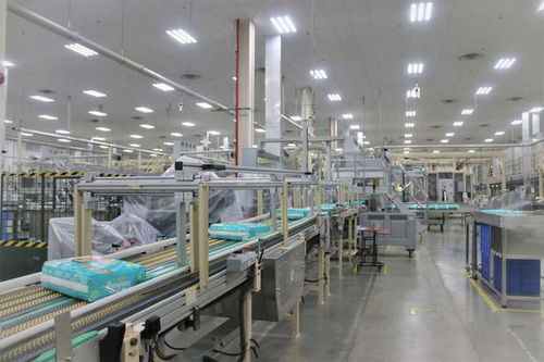 湖北高新技術產業與家政服務創新比翼齊飛，引領區域高質量發展